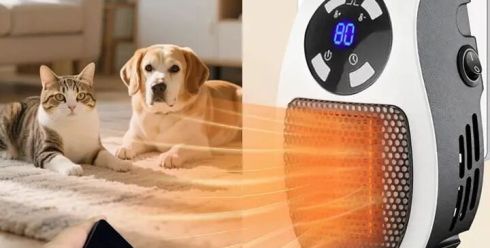 TikTok宠物取暖器月销近百万，老外铲屎官疯抢