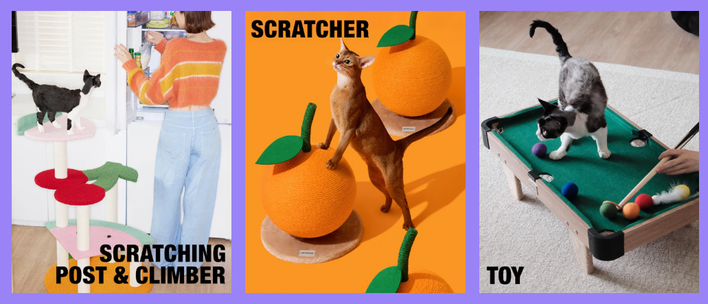 图片 一年吸金上亿!上海又跑出一个宠物赛道的“爆款制造机”!