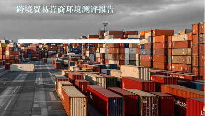 2025年海运口岸集装箱货物跨境贸易营商环境测评报告