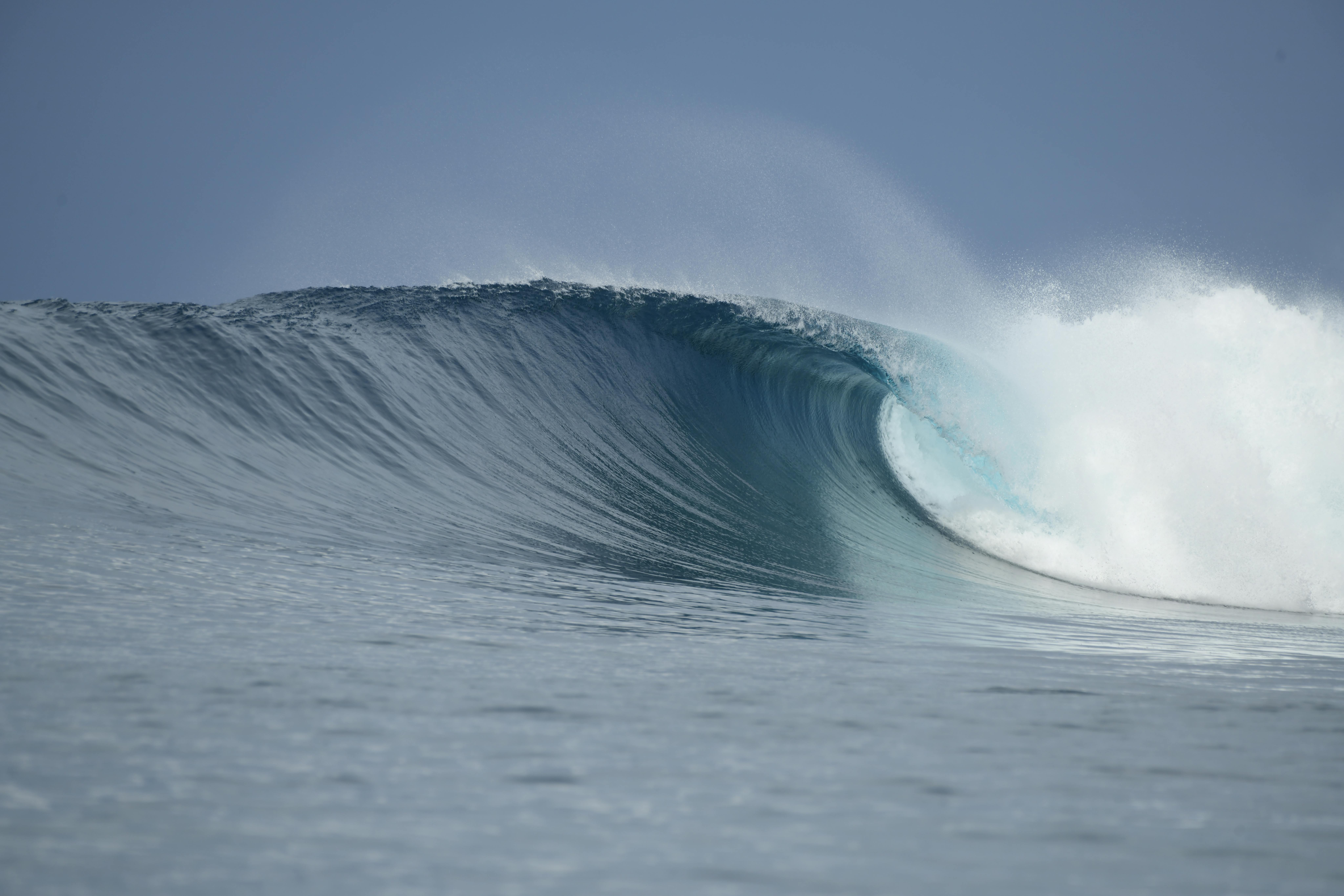 欧盟碳关税2026年全面实施