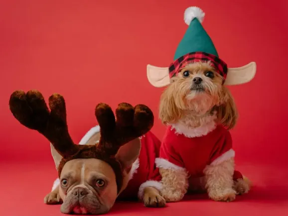 价格翻3倍仍售罄，这个圣诞市场究竟有多疯狂？