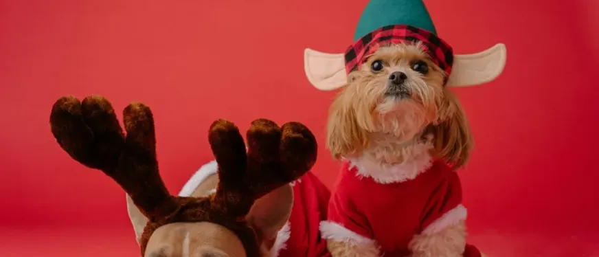 价格翻3倍仍售罄，这个圣诞市场究竟有多疯狂？