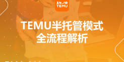 TEMU半托管模式全流程解析