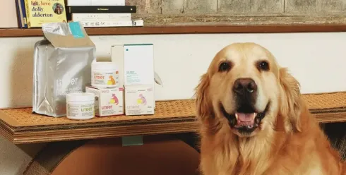 三个月狂卖90万！这家中国公司用"中医配方"撬动千亿宠物保健市场