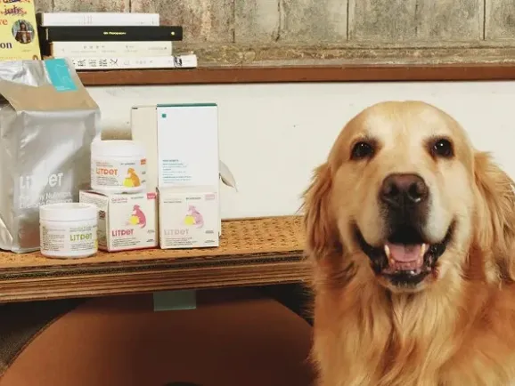 三个月狂卖90万！这家中国公司用"中医配方"撬动千亿宠物保健市场