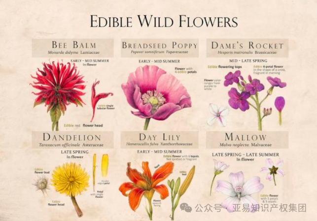 高危！亚马逊300多家店涉案！涉及50多张图！