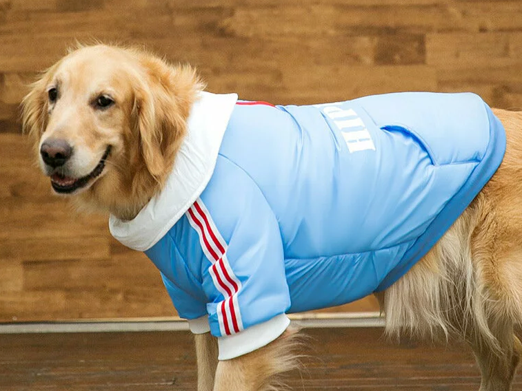 从智能恒温窝到雪地靴：宠物取暖用品成跨境新蓝海