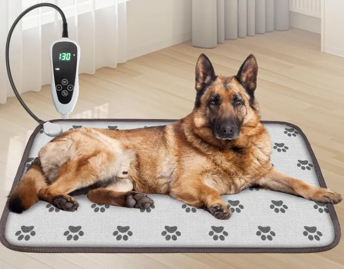 从智能恒温窝到雪地靴：宠物取暖用品成跨境新蓝海