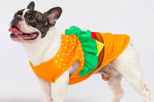 一件狗睡衣，如何成就海外宠物界“优衣库”？