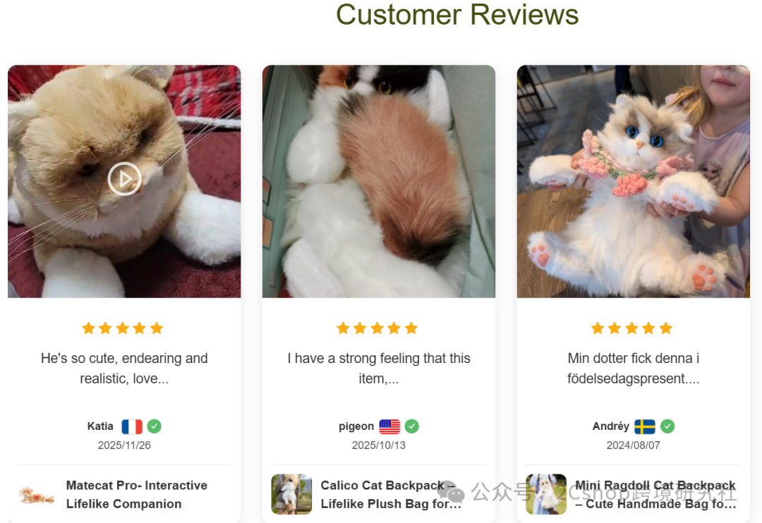 仿真宠物独立站，年销30万单，拿下类目第一