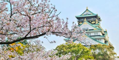 中日关系低谷下，日本跨境电商还是门好生意吗？