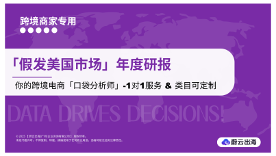 「假发美国市场」年度研报