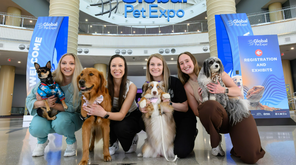 越南宠物用品展览会InterPetFest值得参展吗？2026 越南宠物用品展览会 InterPetFest 全流程参展攻略！