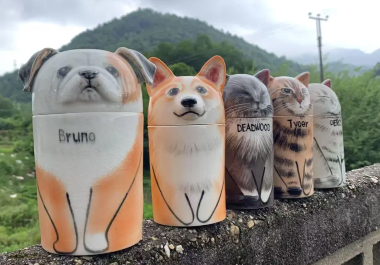 年销6000万，宠物圈又一小众冷门产品火爆全球