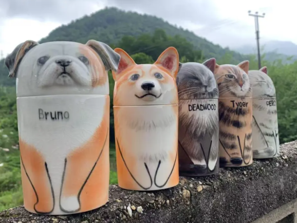 年销6000万，宠物圈又一小众冷门产品火爆全球