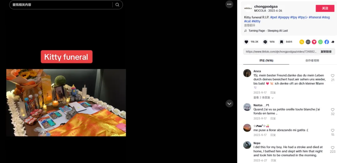 年销6000万，宠物圈又一小众冷门产品火爆全球