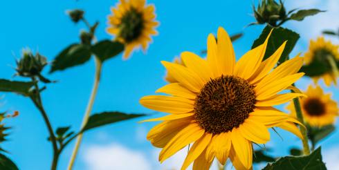 10国取消小包免税！TikTok跨境卖家从容破局