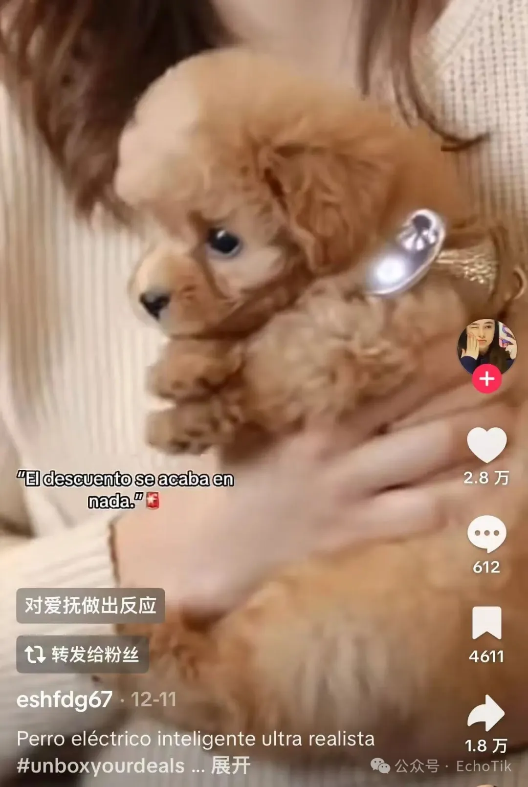 爆卖1.1万件！西班牙TikTok近7天销量王，这款AI机器狗有何魔力？