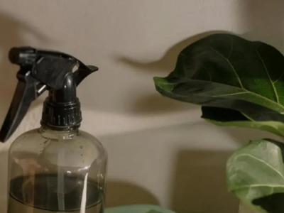 中国家居出海新蓝海：掘金拉美市场