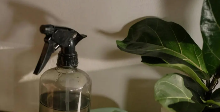 中国家居出海新蓝海：掘金拉美市场