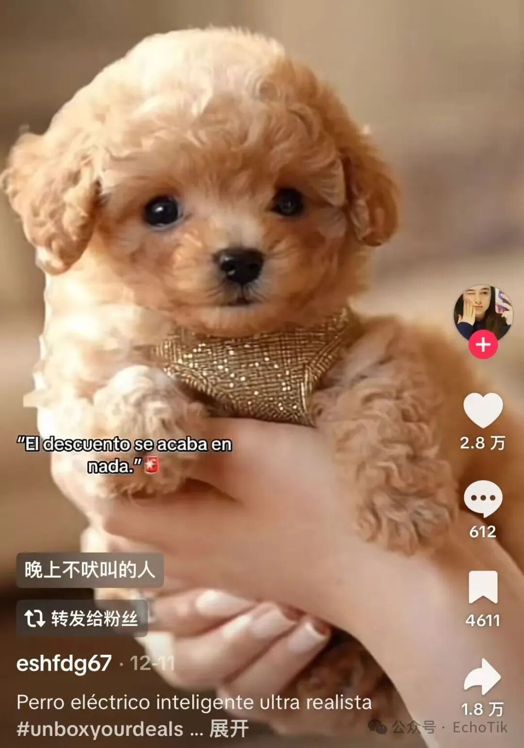 爆卖1.1万件！西班牙TikTok近7天销量王，这款AI机器狗有何魔力？