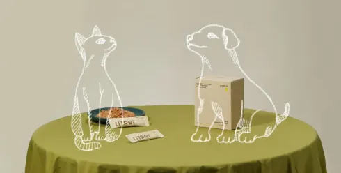 一瓶“东方配方”卖爆欧美！LitPet如何用草本智慧撬动千亿宠物养老市场？