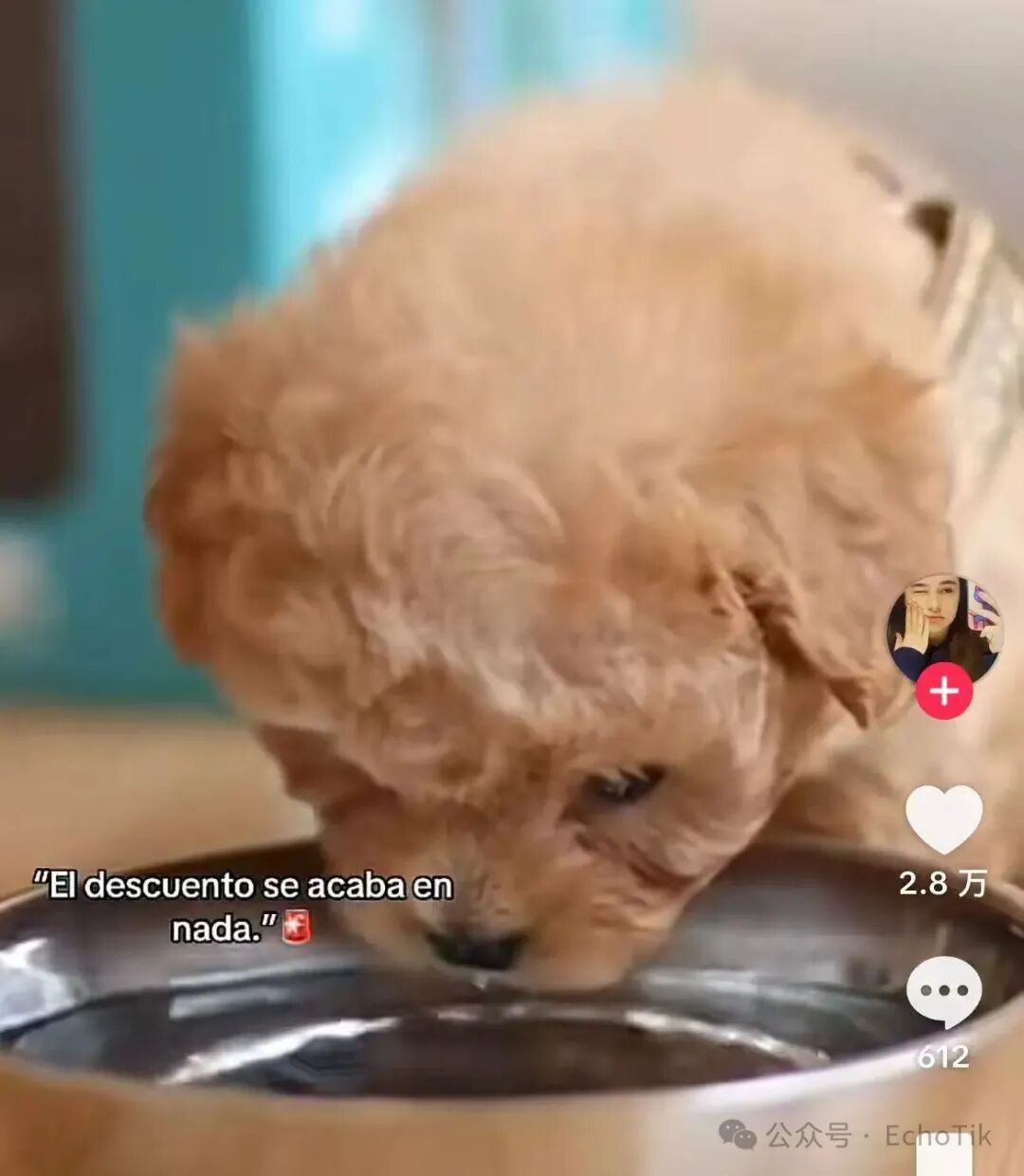 爆卖1.1万件！西班牙TikTok近7天销量王，这款AI机器狗有何魔力？