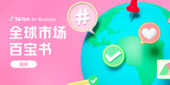 TikTok：2024全球市场百宝书-越南篇