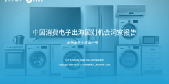 中国消费电子出海国别机会洞察报告