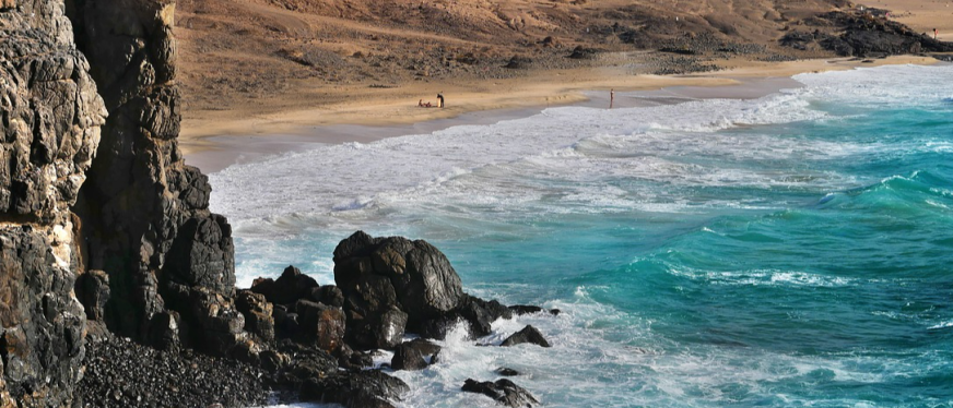 2025年亚马逊最值得关注的十个细分市场