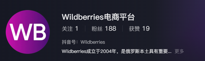 Wildberries官网入口在哪?Wildberries卖家中心及开店通道等所有官方入口汇总