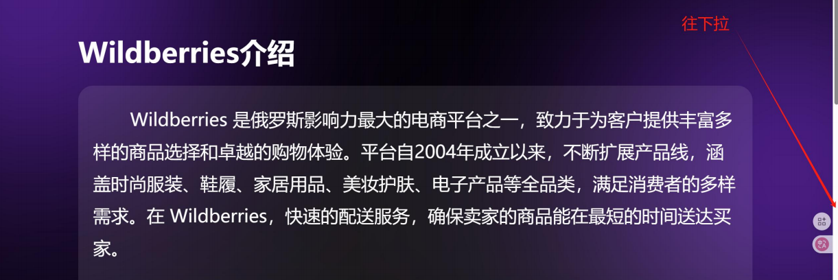 Wildberries野莓怎么注册?Wildberries入驻条件及开店入驻流程详解