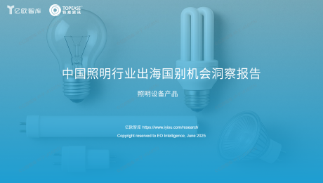 2025年中国照明行业出海国别机会洞察报告