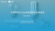 2025年中国照明行业出海国别机会洞察报告