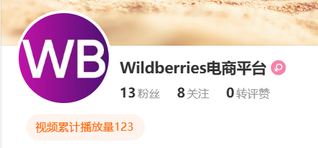 Wildberries官网入口在哪?Wildberries卖家中心及开店通道等所有官方入口汇总
