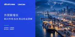 新兴市场B2B商业机会洞察报告