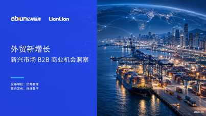 新兴市场B2B商业机会洞察报告
