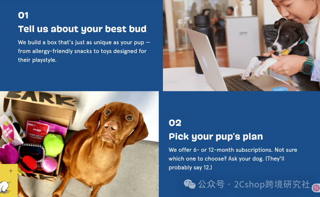 图片 靠 “宠物盲盒” ,年入5亿美金,毛利62%的独立站如何做到的?