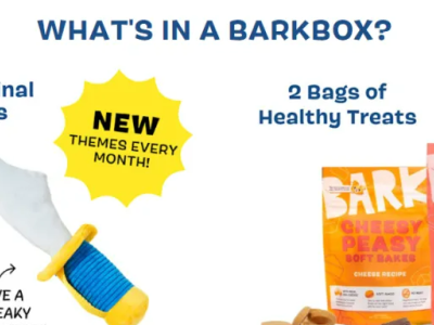 靠 “宠物盲盒” ，年入5亿美金，毛利62%的独立站如何做到的？