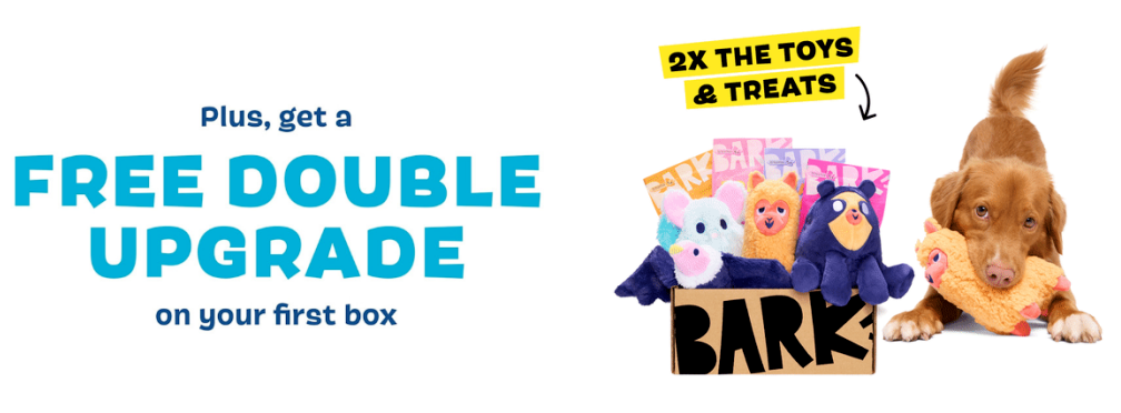 靠 “宠物盲盒” ,年入5亿美金,毛利62%的独立站如何做到的?