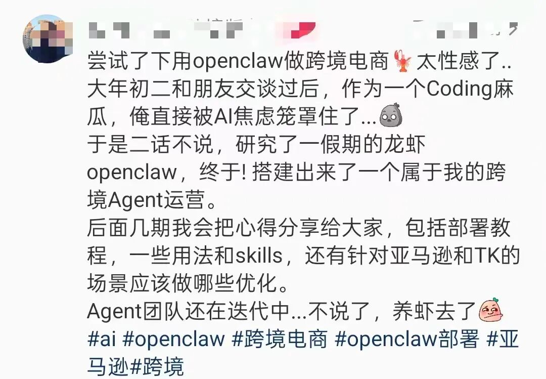 从选品到拍视频，AI“龙虾”正在接管跨境电商运营？