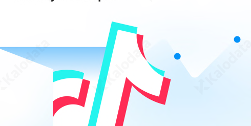 2026 TikTok电商白皮书