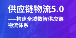2024供应链物流5.0-构建全域数智供应链物流体系报告