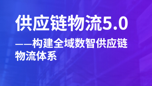 2024供应链物流5.0-构建全域数智供应链物流体系报告