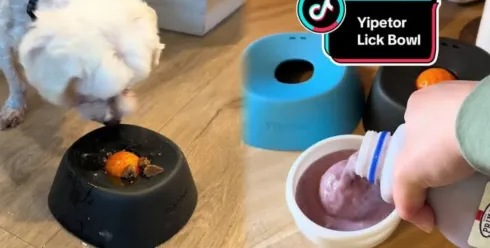 50天狂卖240万！这个"慢食狗碗"在TikTok上杀疯了