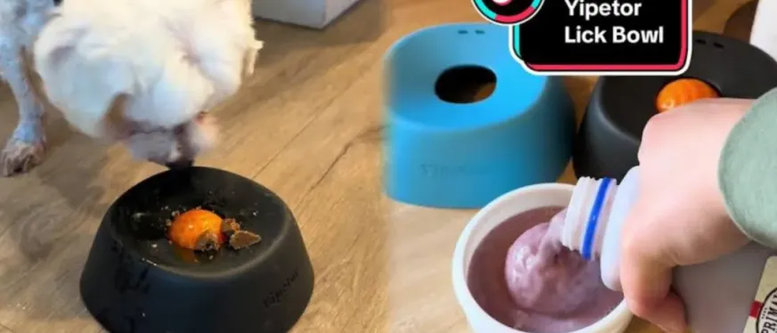 50天狂卖240万！这个"慢食狗碗"在TikTok上杀疯了