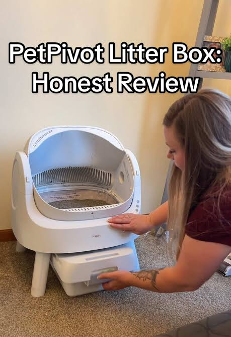 50天狂卖240万！这个"慢食狗碗"在TikTok上杀疯了