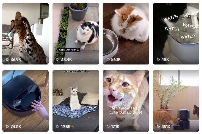 年入破亿！深圳跨境大佬竟靠智能喂食器做到头部品牌