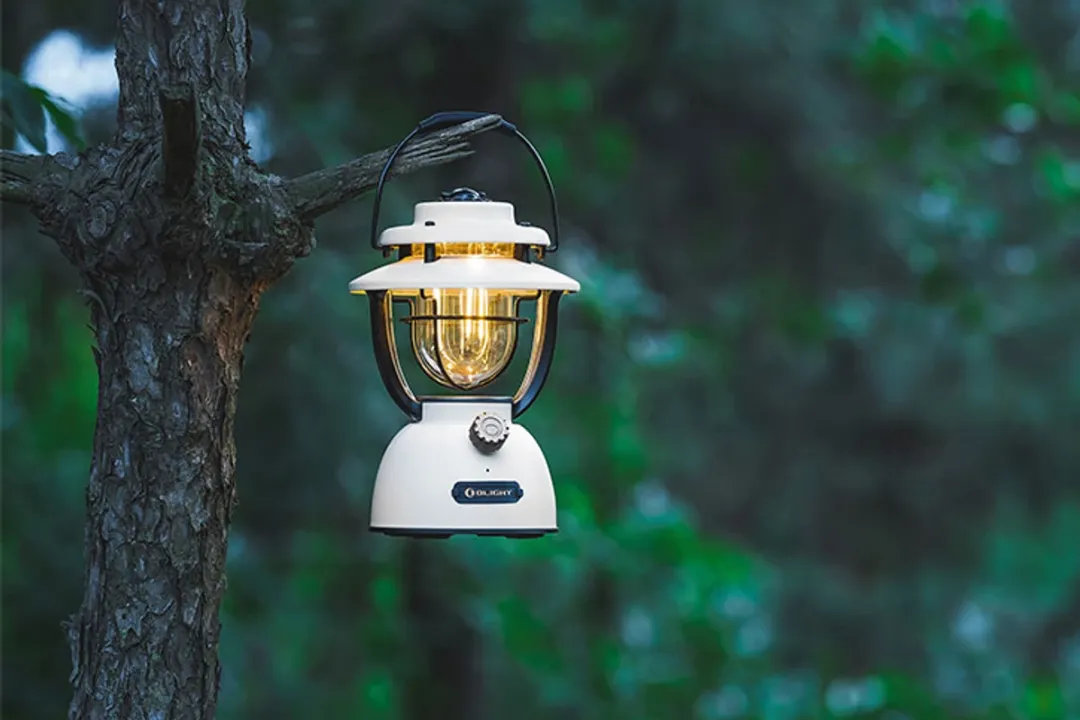 图片 深圳手电横扫120国,细分场景赚到“高溢价”