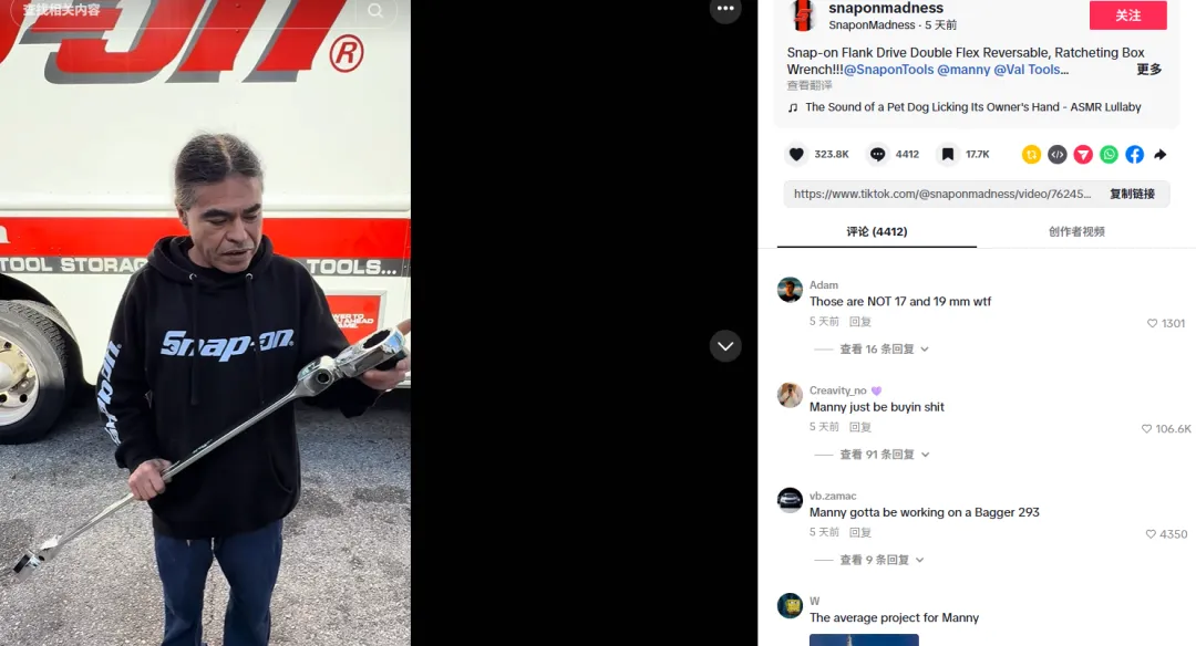 图片 8美元“小雪花”撬动百万生意!冷门工具卖爆TikTok | 爆品洞察